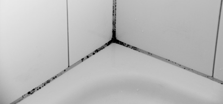 Humidité carrelage salle de bains